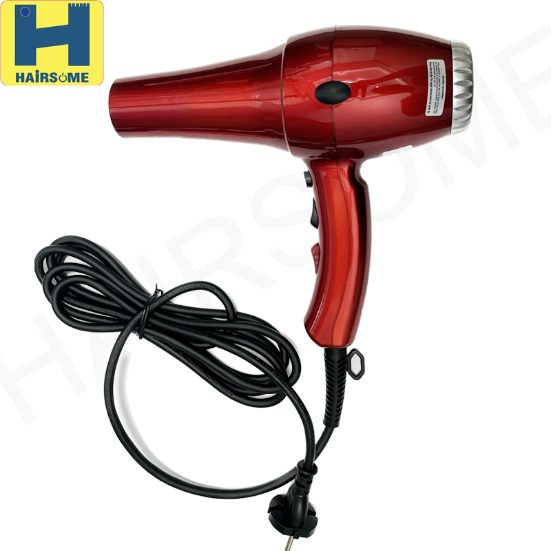 Hair Dryer 2200W Powerful AC Motor Quick Drying Professional Salon Ionic Hairdryer with 2 Speed, 3 Heat Setting, Cool Button, with Diffuser, Concentrator